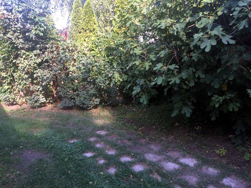 Rosmarinus Apartman Pécs Exterior foto